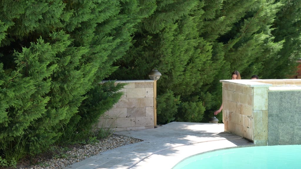 Erotic Summertime Massage with Alexis Crystal Turns into Poolside DP GP1945